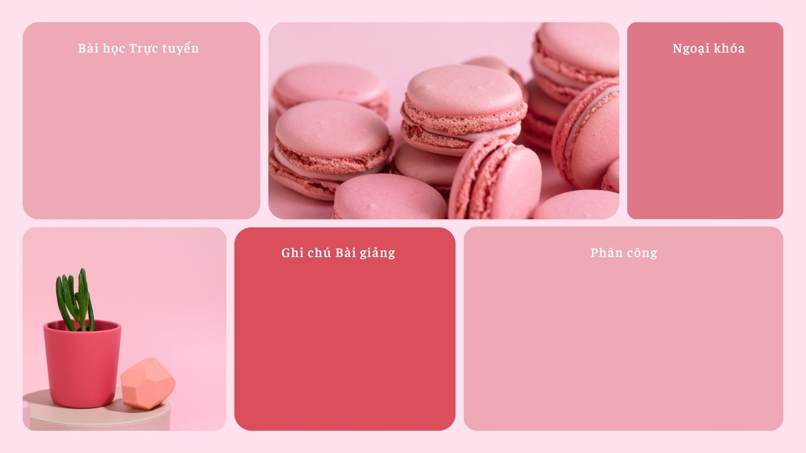 Tổng hợp 50+ hình nền màu hồng cute dễ thương nhất cho bạn