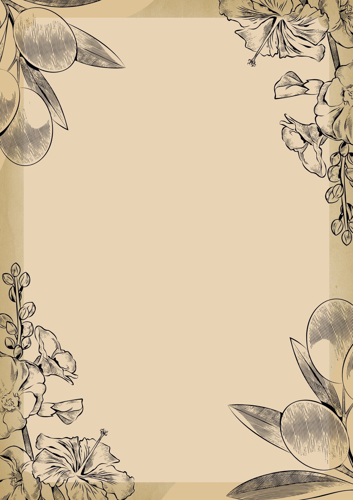 Flower Drawing, simple border, love, white png | PNGEgg