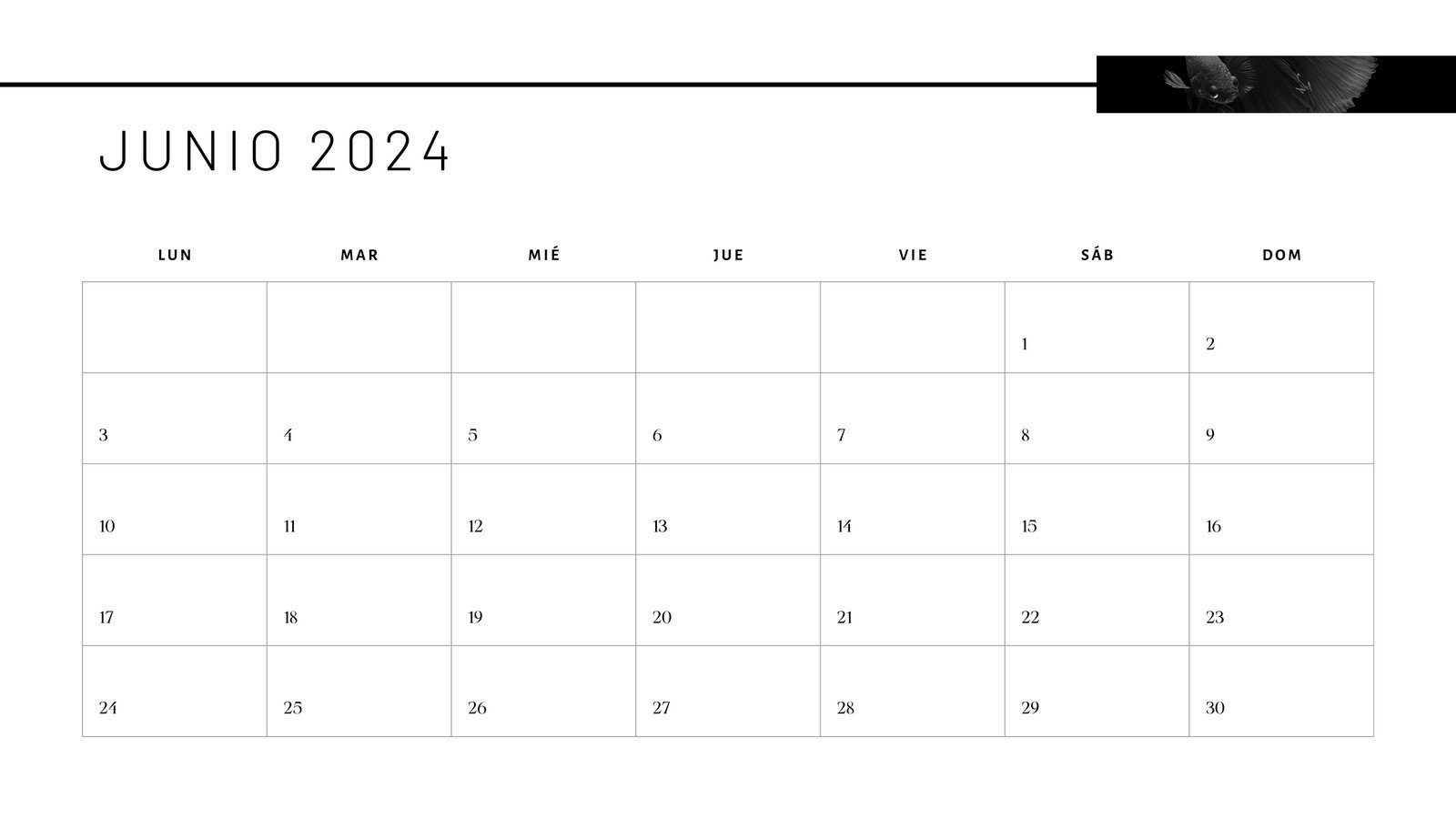Calendario de Pared Blanco y Negro con Foto Acuática Junio 2024