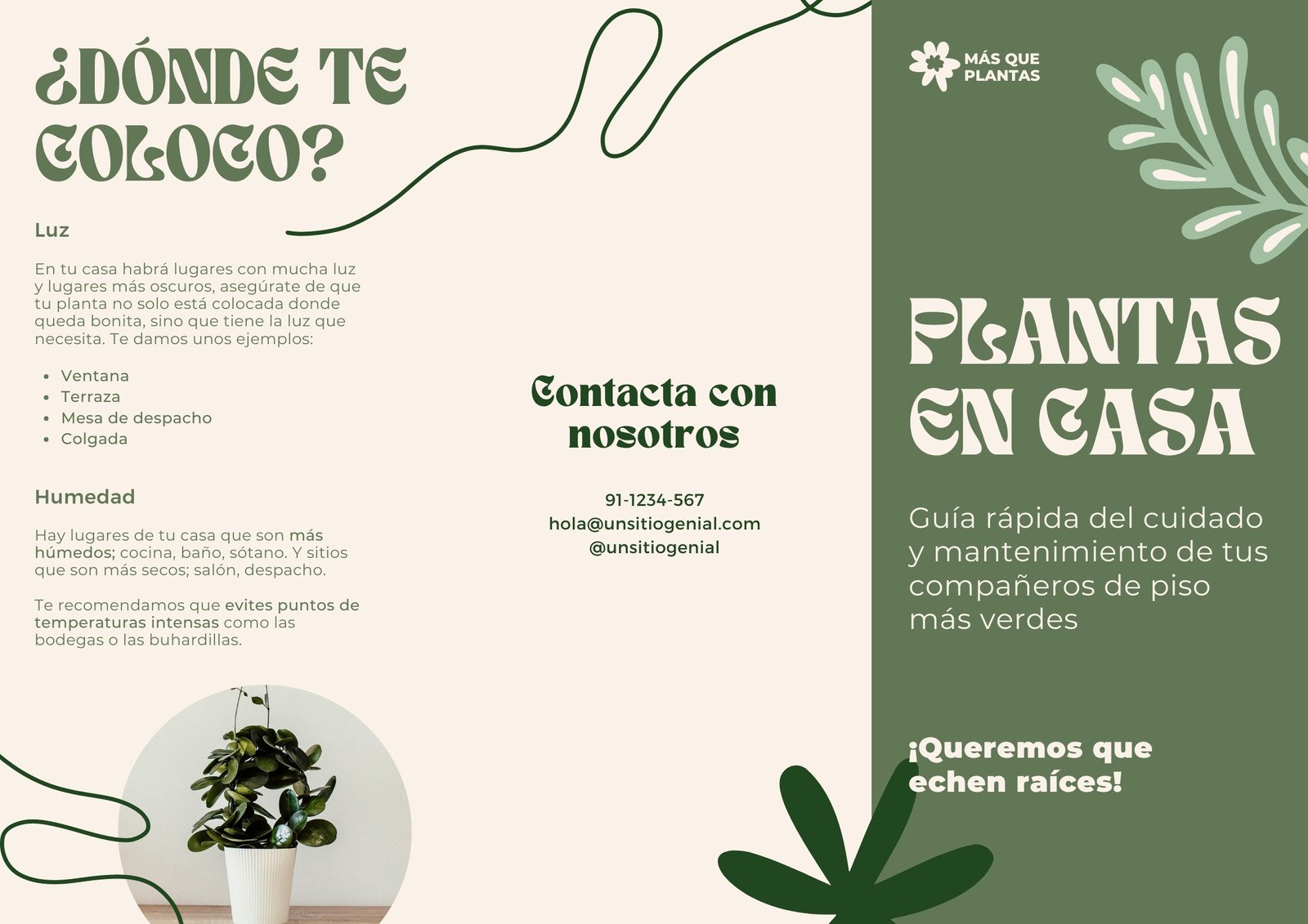 flyer folleto triptico plantas vivero divertido moderno orgánico verde