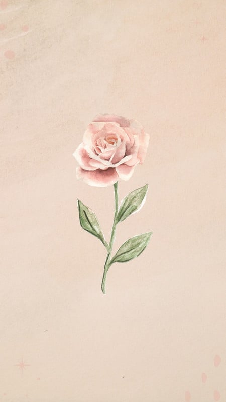 https://marketplace.canva.com/EAFApXyY_CE/1/0/450w/canva-pastel-pink-and-green-illustrated-rose-phone-wallpaper-DVvsAU3CKPE.jpg