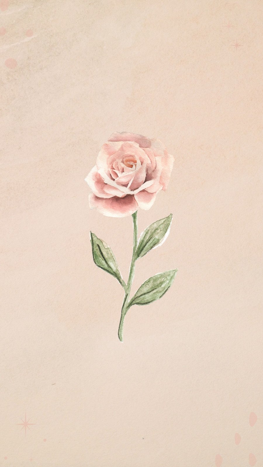 pink roses wallpaper for iphone