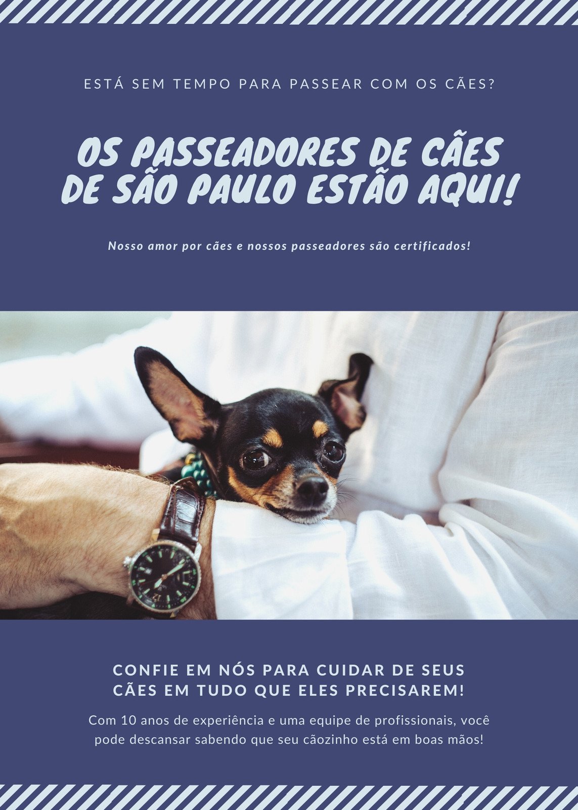 Estúdio de Criação on X: Baner de lançamento dos novos cachorros