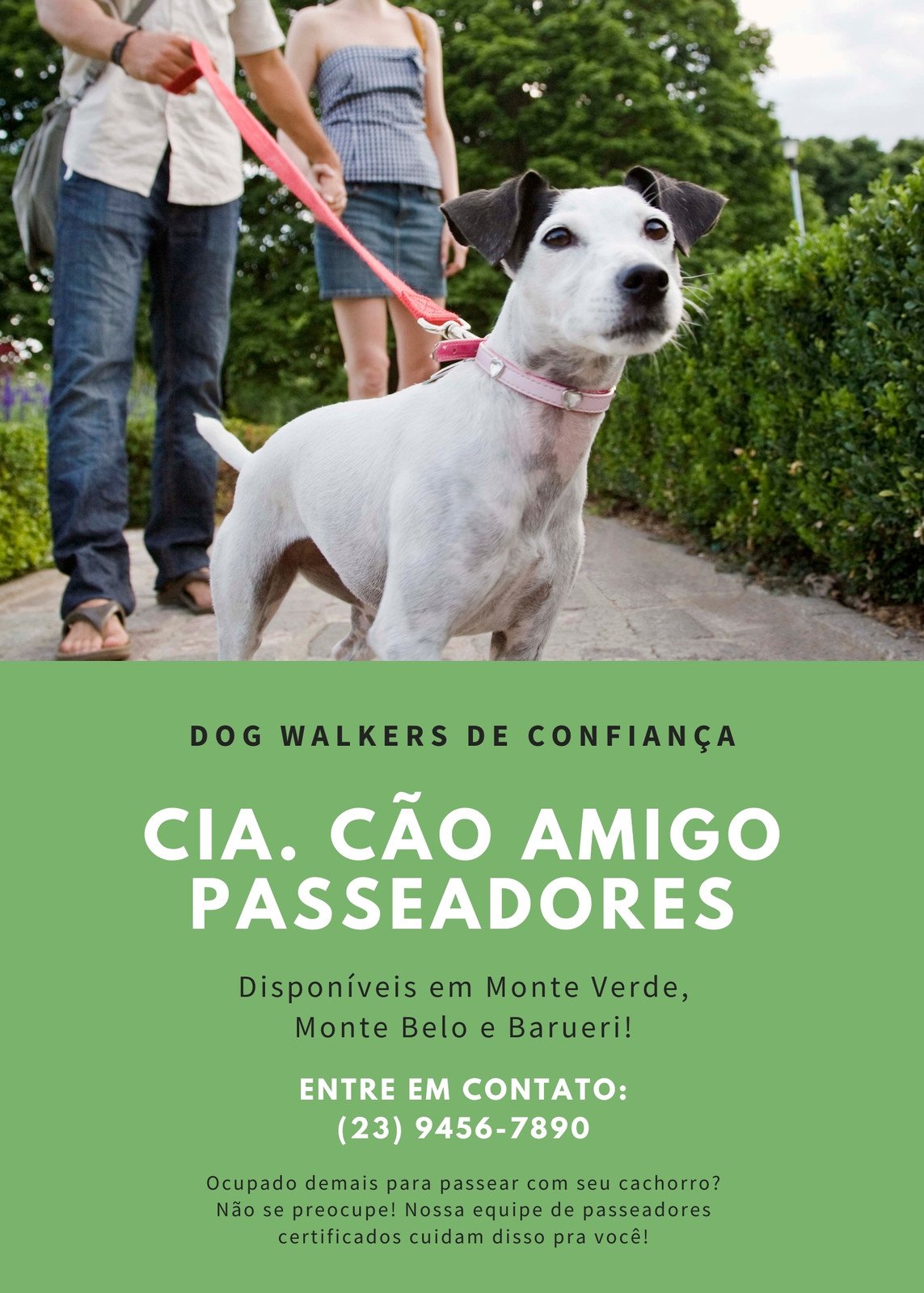 DOG WALKER - O PROFISSIONAL AMIGO DE CAMINHADA DO SEU CÃO
