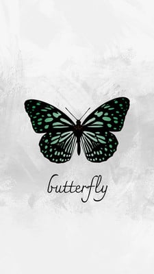 Free and customizable butterfly templates