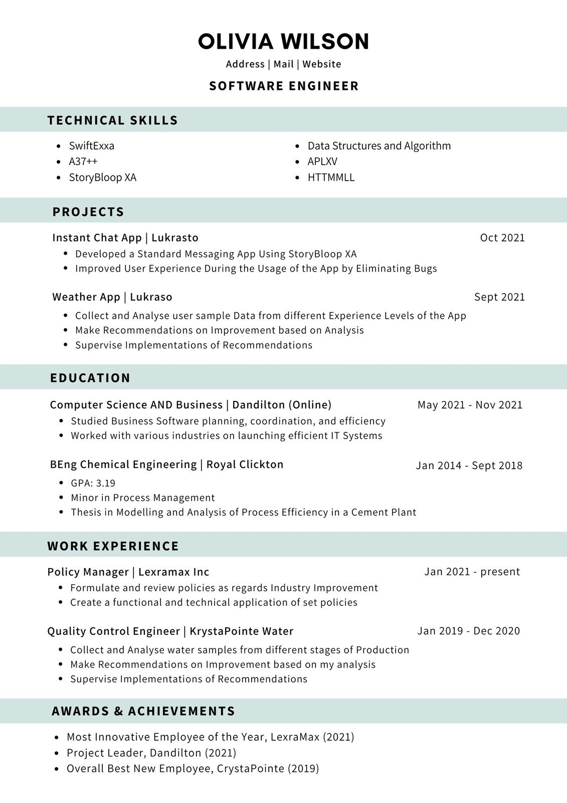 Entry Level Tech Professional Resume