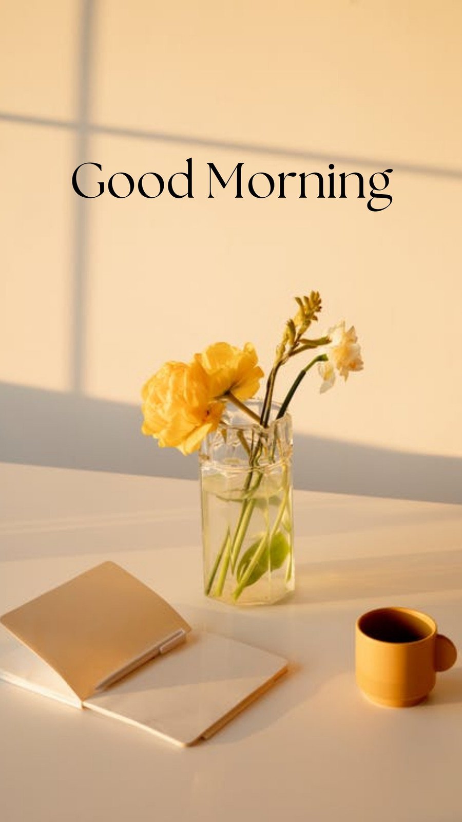 Beautiful Good Morning Flowers GIF Videos