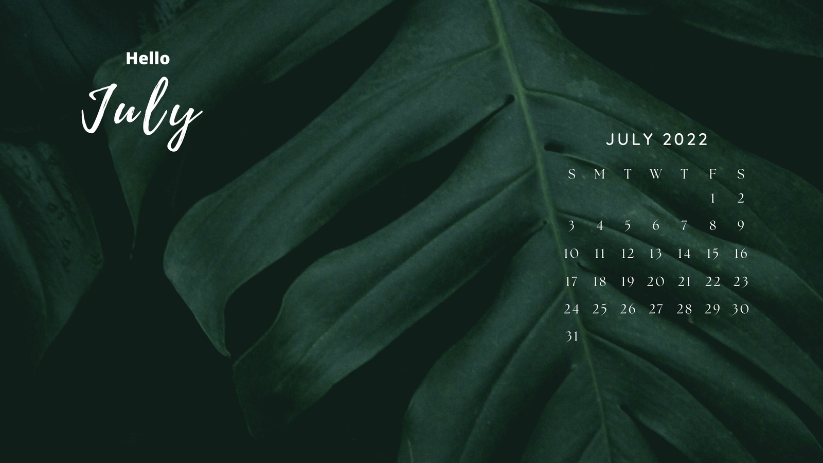 July 2022 Calendar iPhone Wallpapers Free Download  PixelsTalkNet
