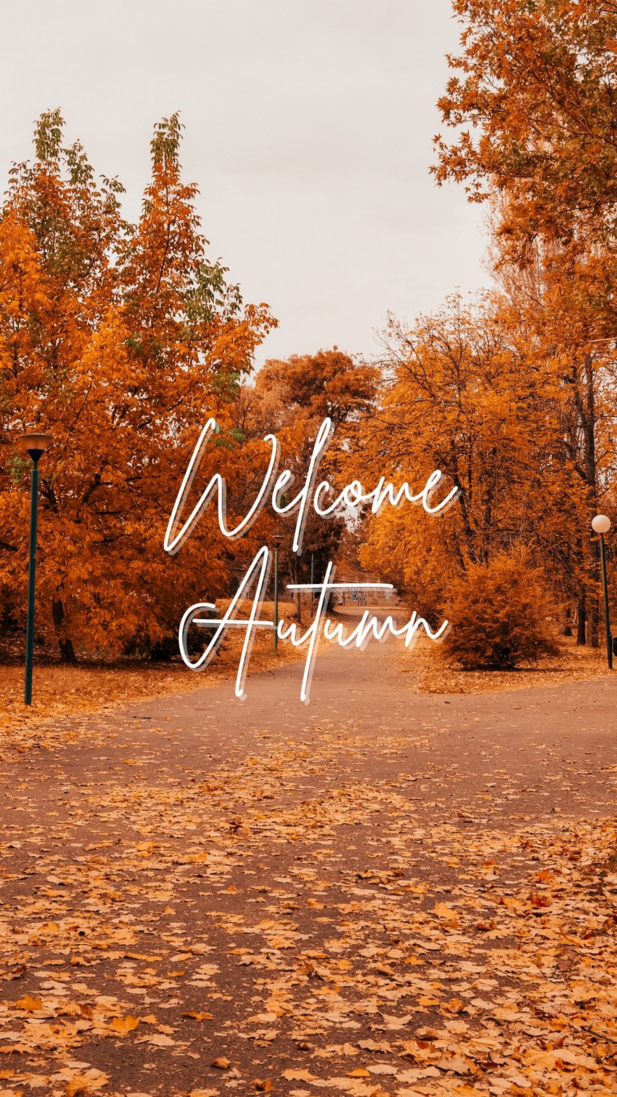 Autumn Wallpaper Images  Free Download on Freepik