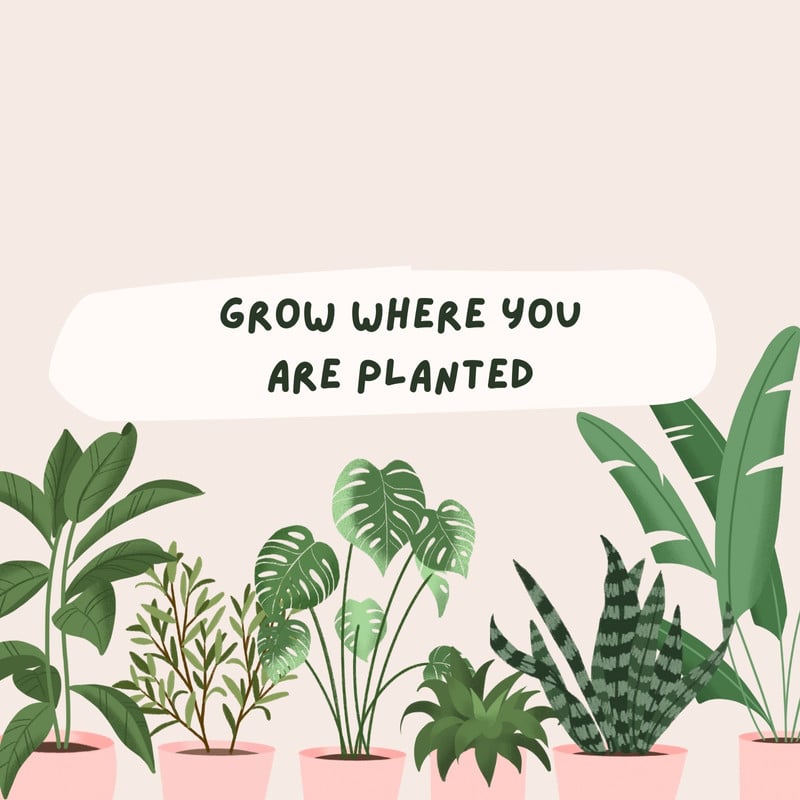 Free and customizable plants templates