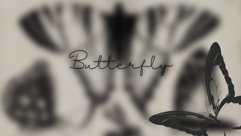 canva black %26 white illustration butterfly desktop wallpaper b8KVATvKNhk