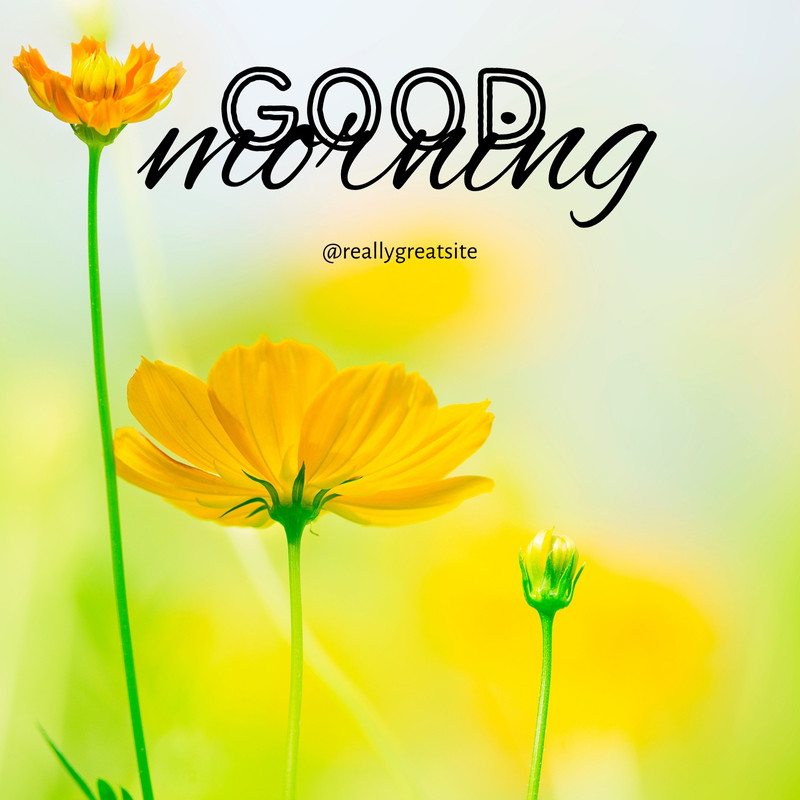 Page 5 - Free and customizable good morning templates