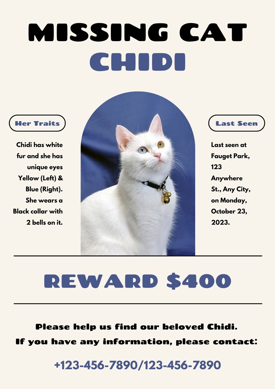 Lost Cat, Funny Neighborhood Flyers