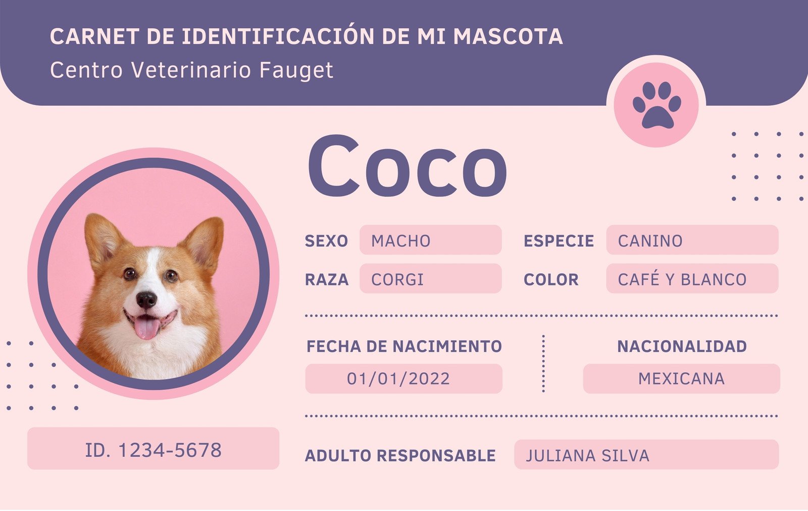 Carnet de Identificación de Mascota Simple Rosa y Morado