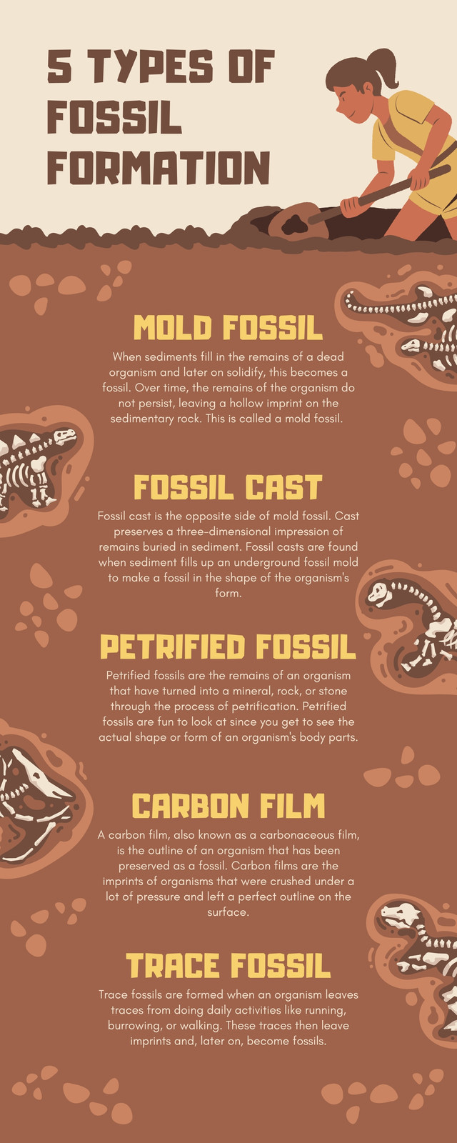 Free custom printable history infographic templates | Canva