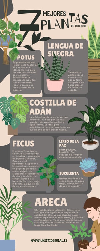 PLANTILLA SUELO LETRA M