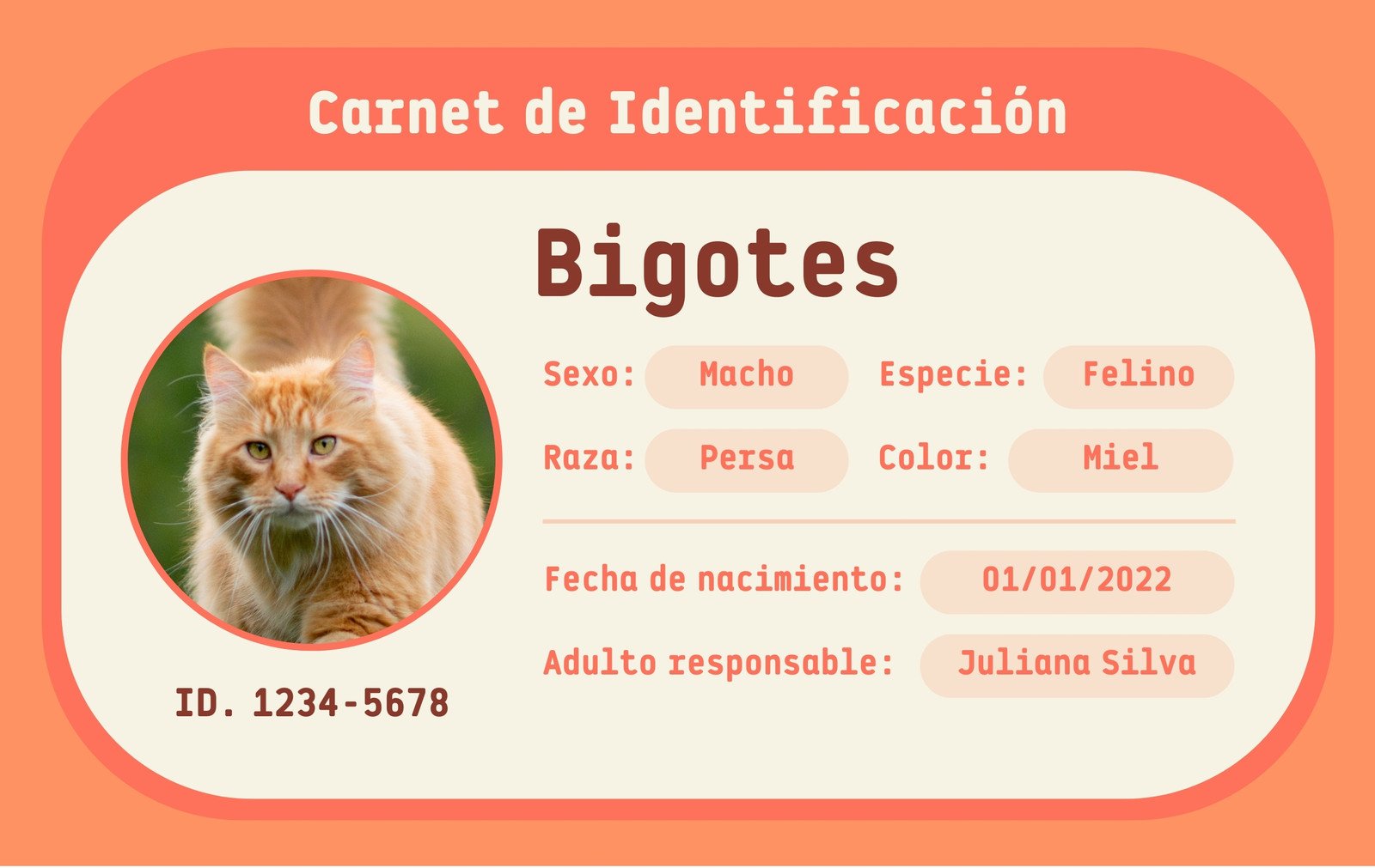 Carnet de Identificación de Mascota Simple Naranja y Blanco