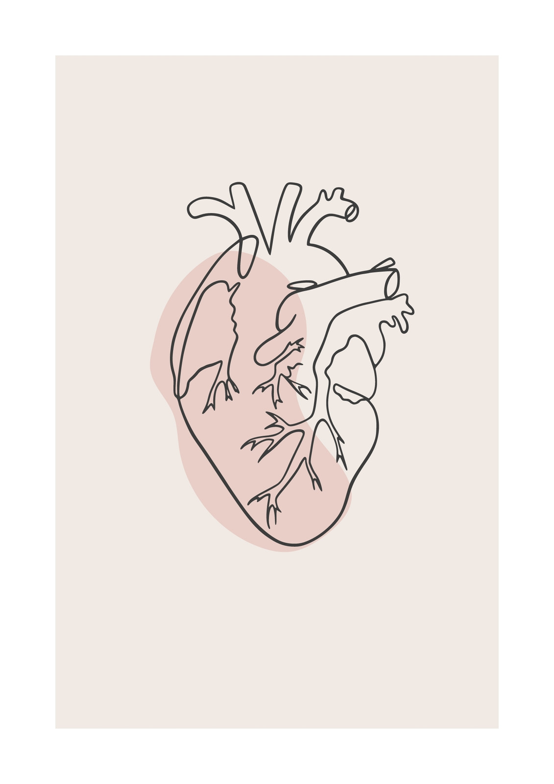 HD anatomy hearts wallpapers  Peakpx