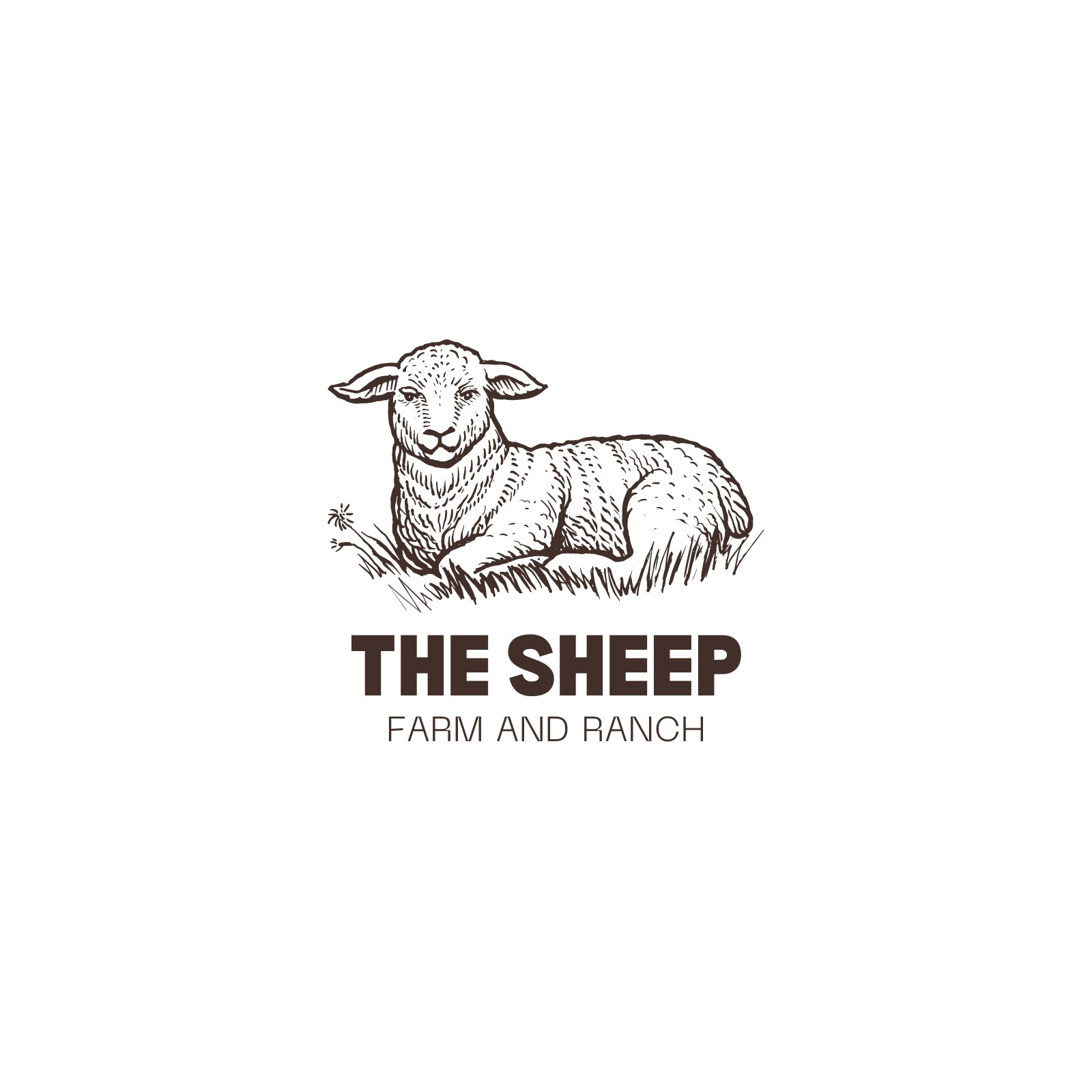 show lamb logo