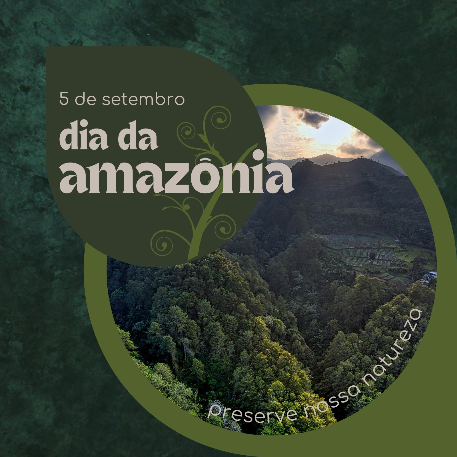 Página 10 – Modelos gratuitos e personalizáveis de Dia da Amazônia - Canva