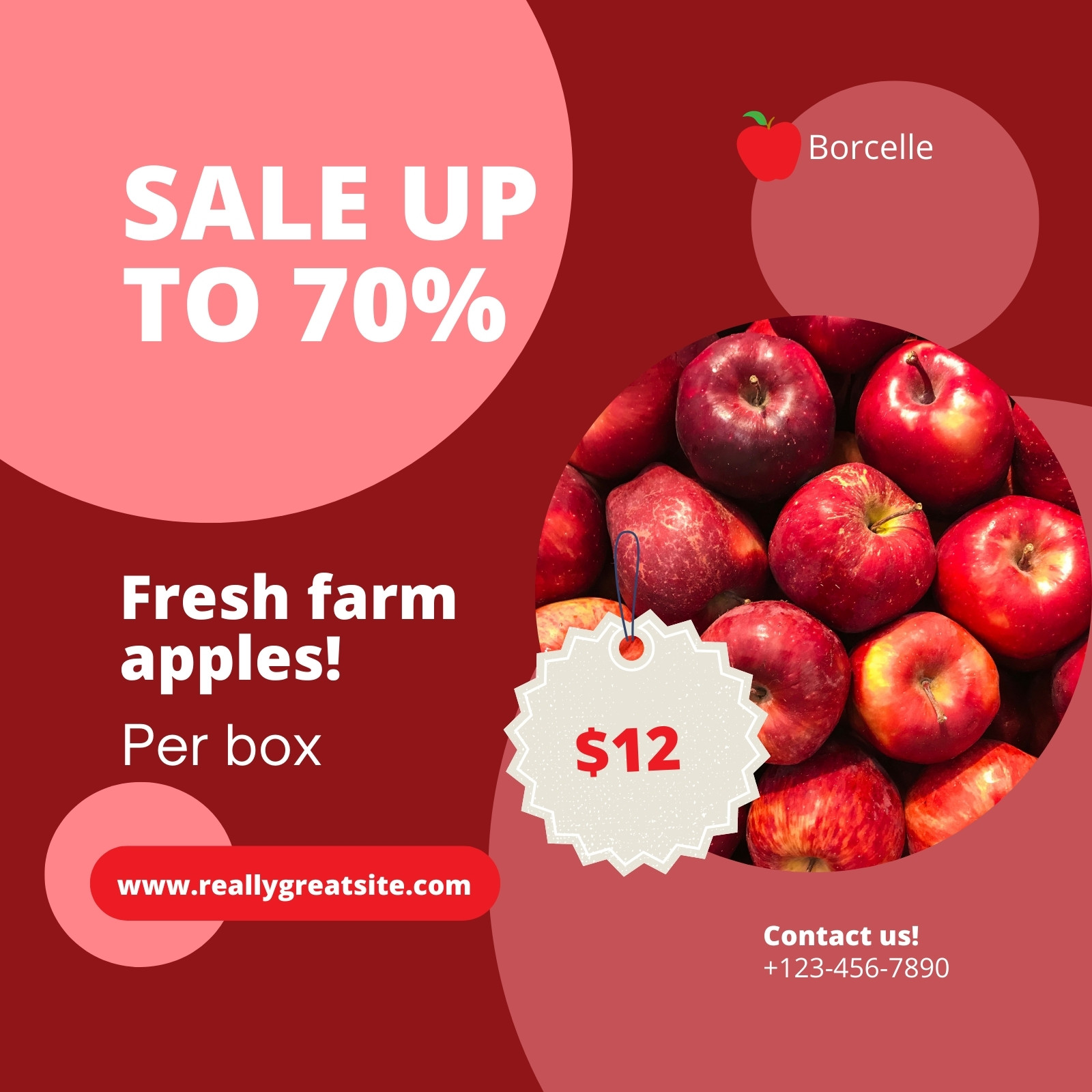 Organic Envy Apples  Fresh Generation Foods