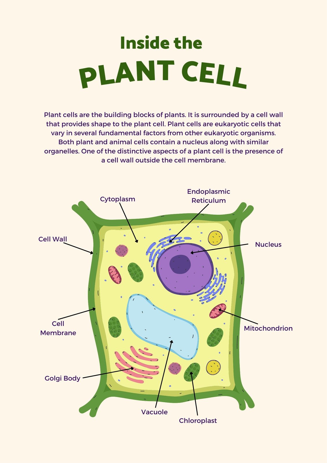 Page 18 - Free and customizable biology templates
