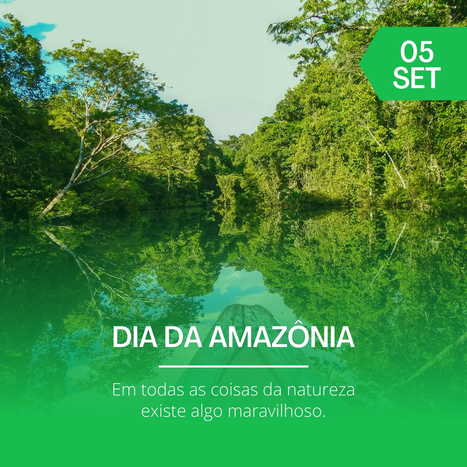 Página 10 – Modelos gratuitos e personalizáveis de Dia da Amazônia - Canva