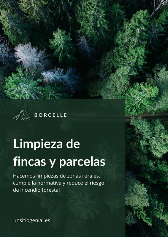 Plantillas De Arboles Gratis Y Personalizables Canva