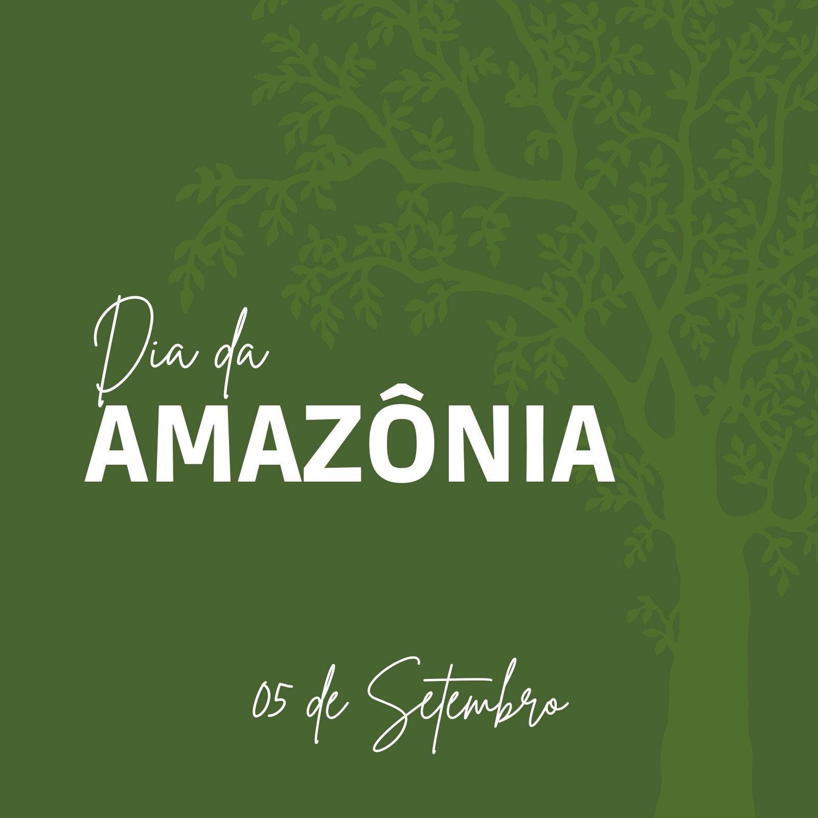 Página 10 – Modelos gratuitos e personalizáveis de Dia da Amazônia - Canva