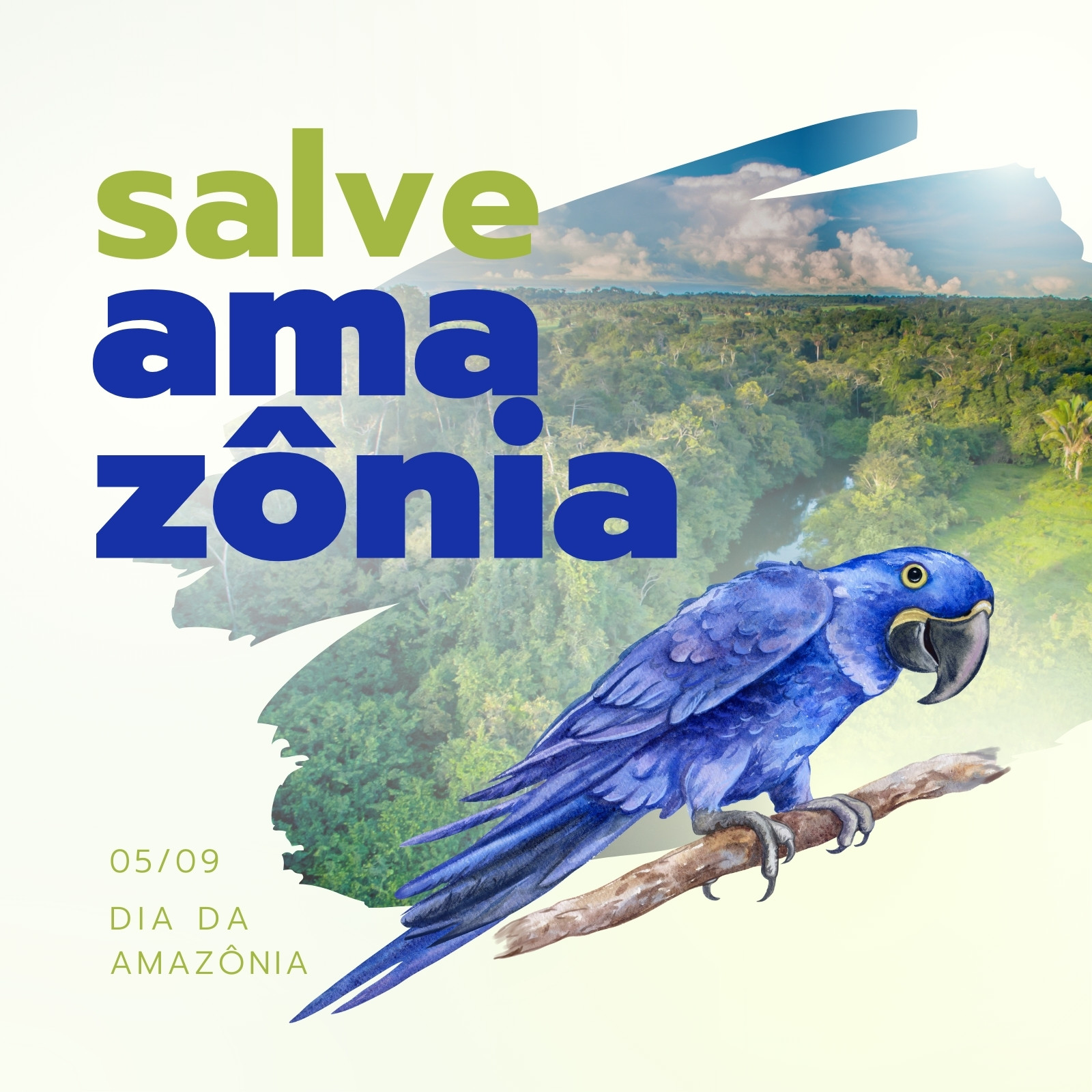 Página 10 – Modelos gratuitos e personalizáveis de Dia da Amazônia - Canva