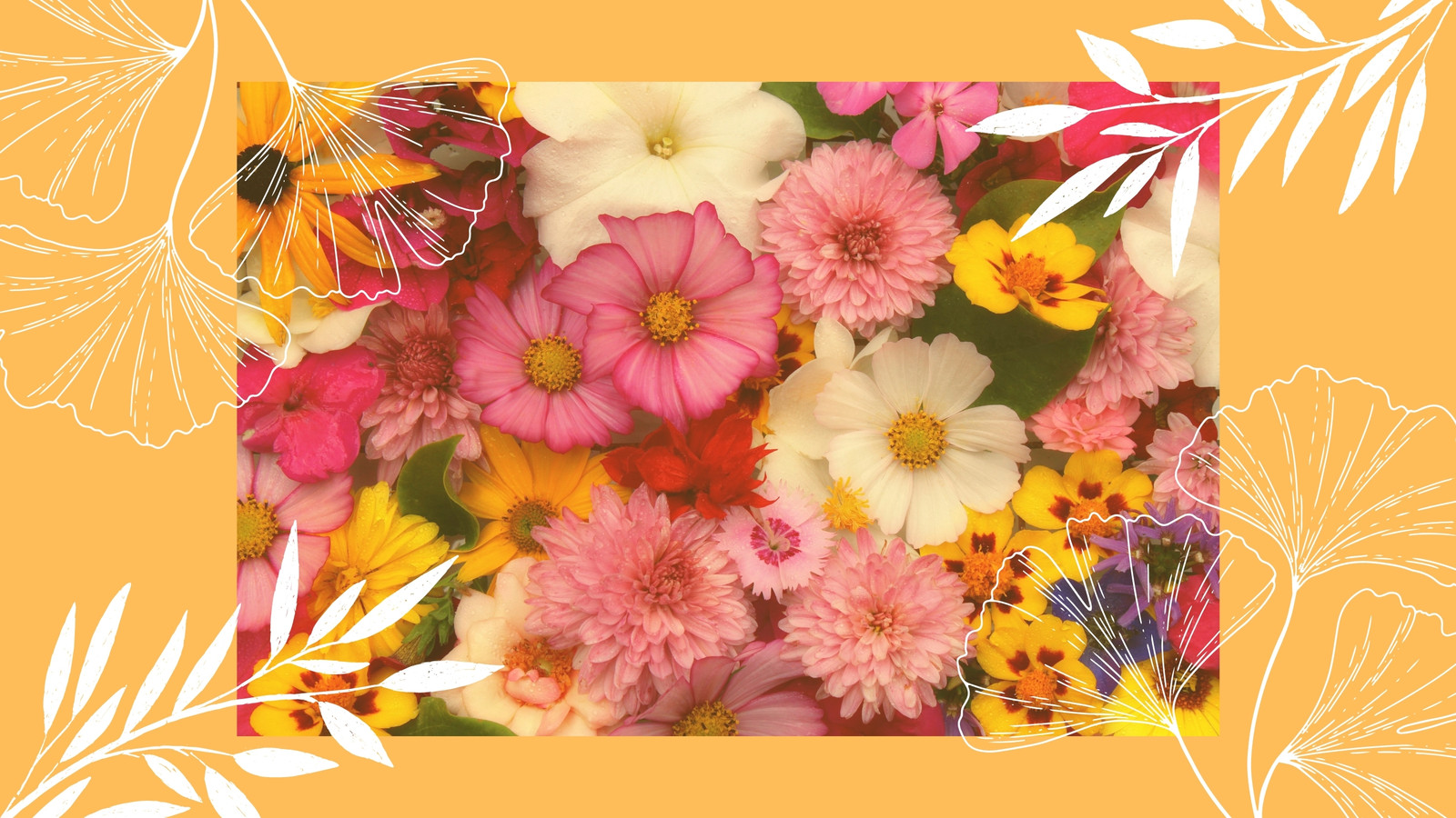 Page 11 - Free and customizable floral desktop wallpaper templates | Canva