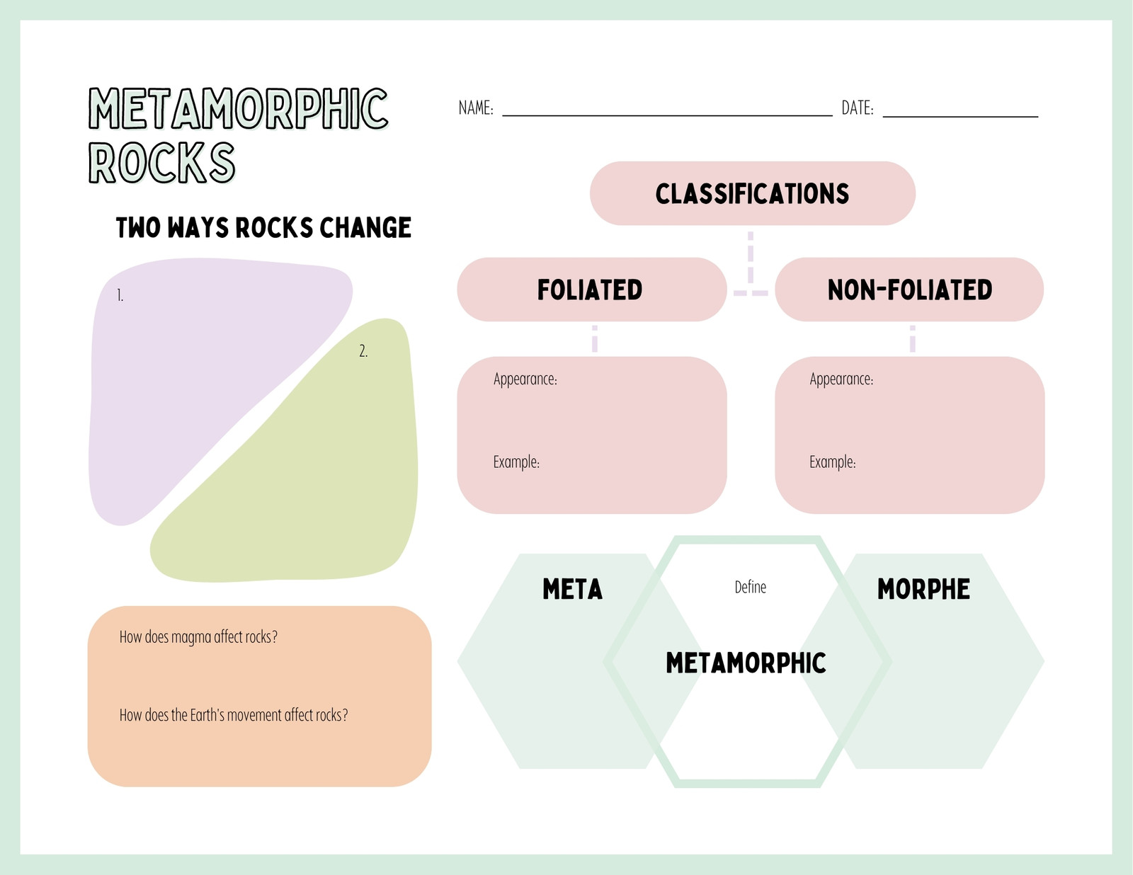 Trophic Levels - Graphic Organizer