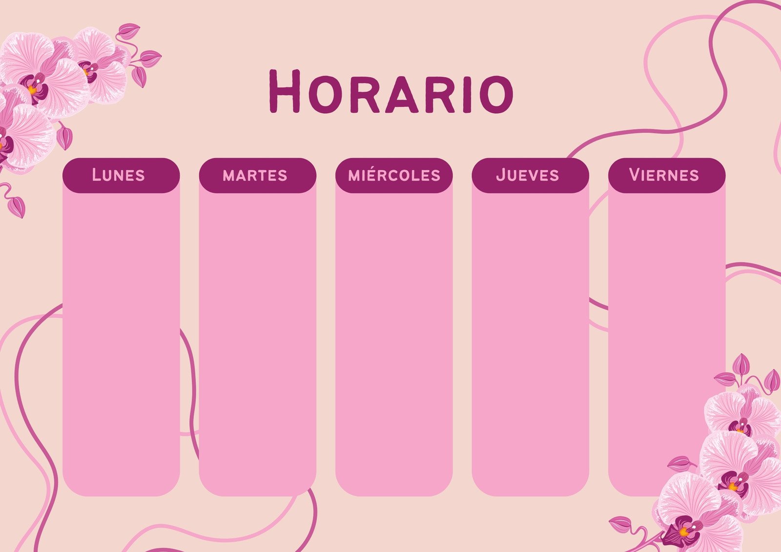 horario orquideas floral rosa