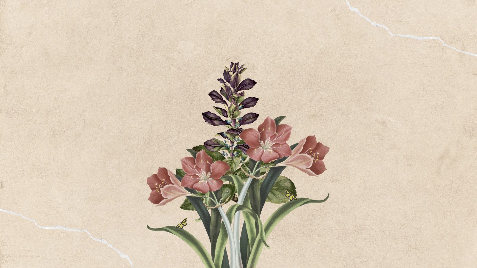 Download Dark Brown Aesthetic Flowers Wallpaper