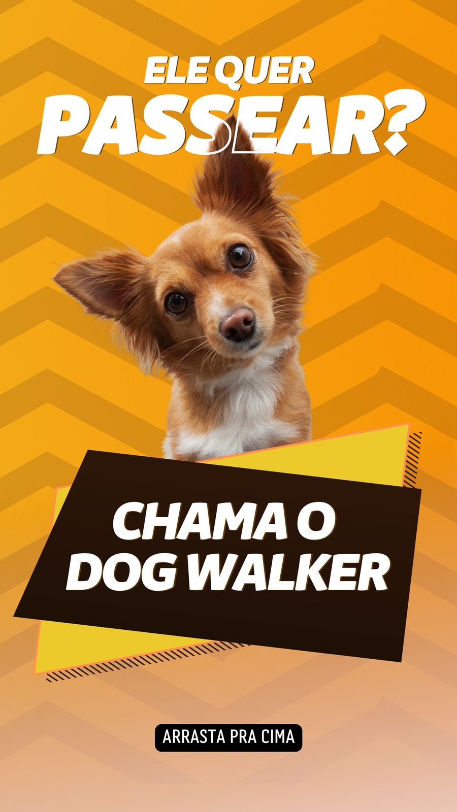 Estúdio de Criação on X: Baner de lançamento dos novos cachorros