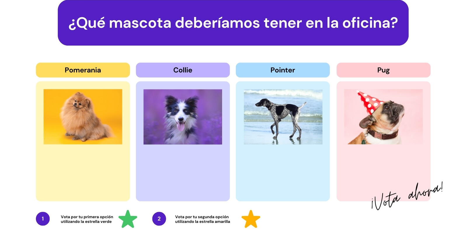 Violeta Azul y Rosa Mascotas Tablero Virtual de Votación