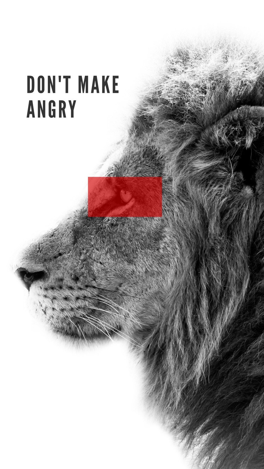 angry lion iphone wallpaper
