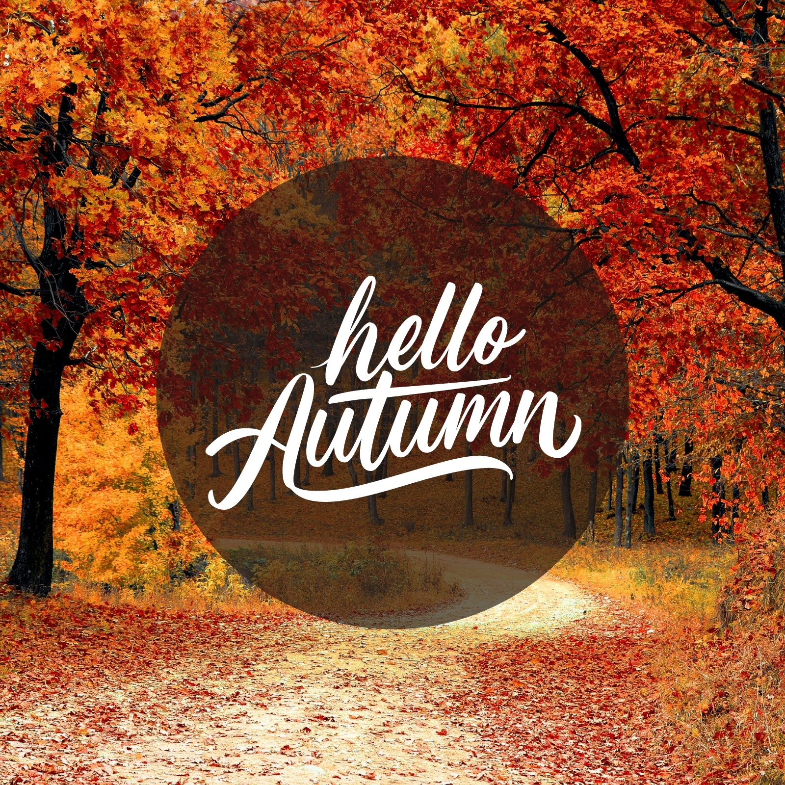 Free and customizable autumn templates