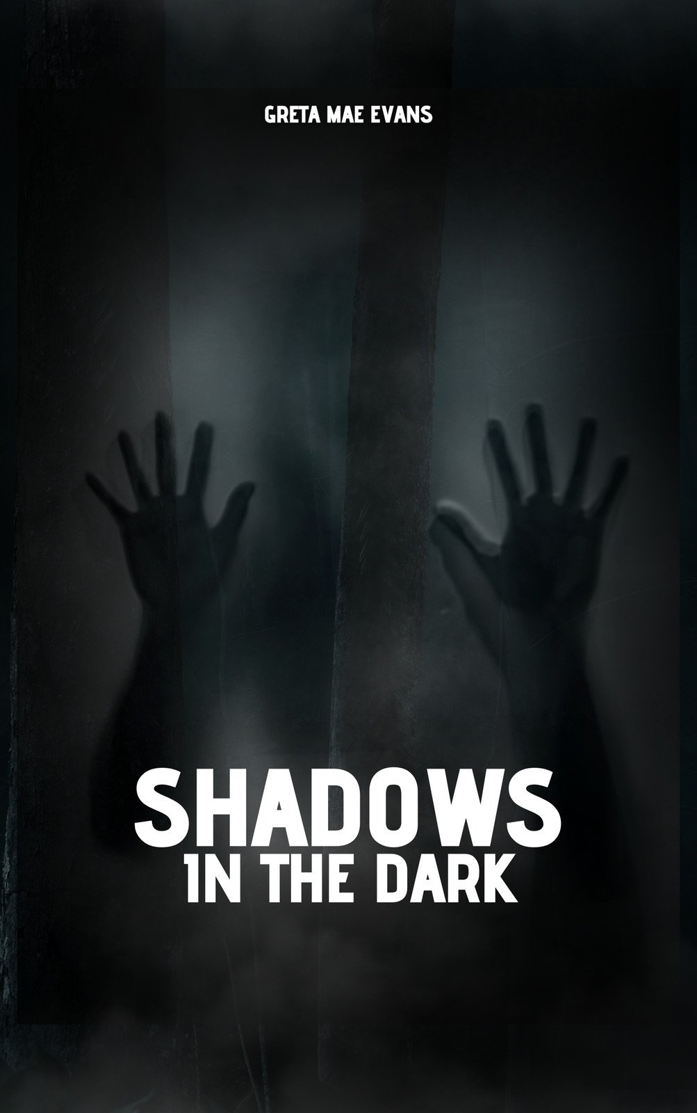 Black Modern Shadow in The Dark Book Cover