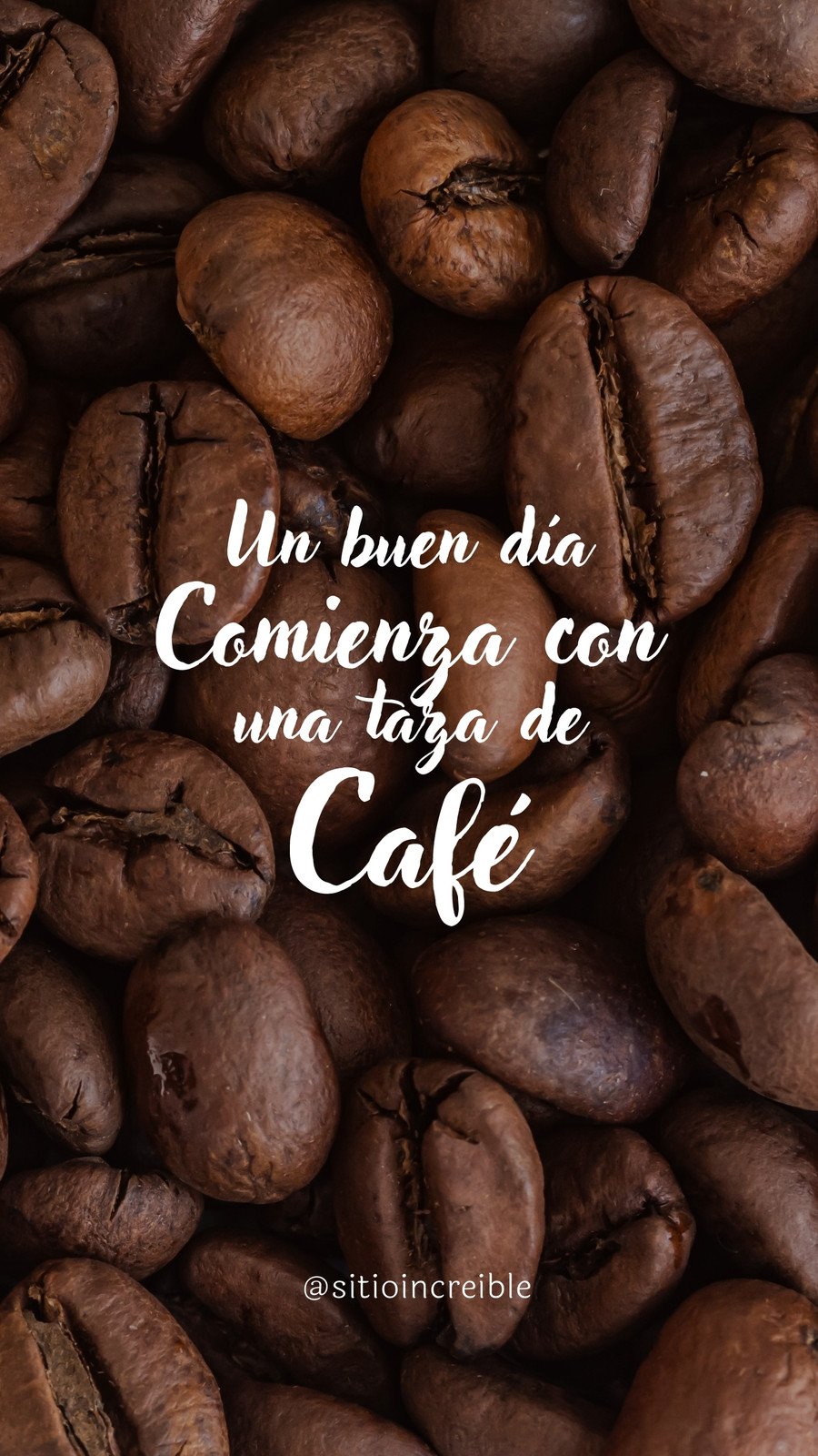 Café en grano tueste medio, Cosecha Tradicional – CAFFENIO