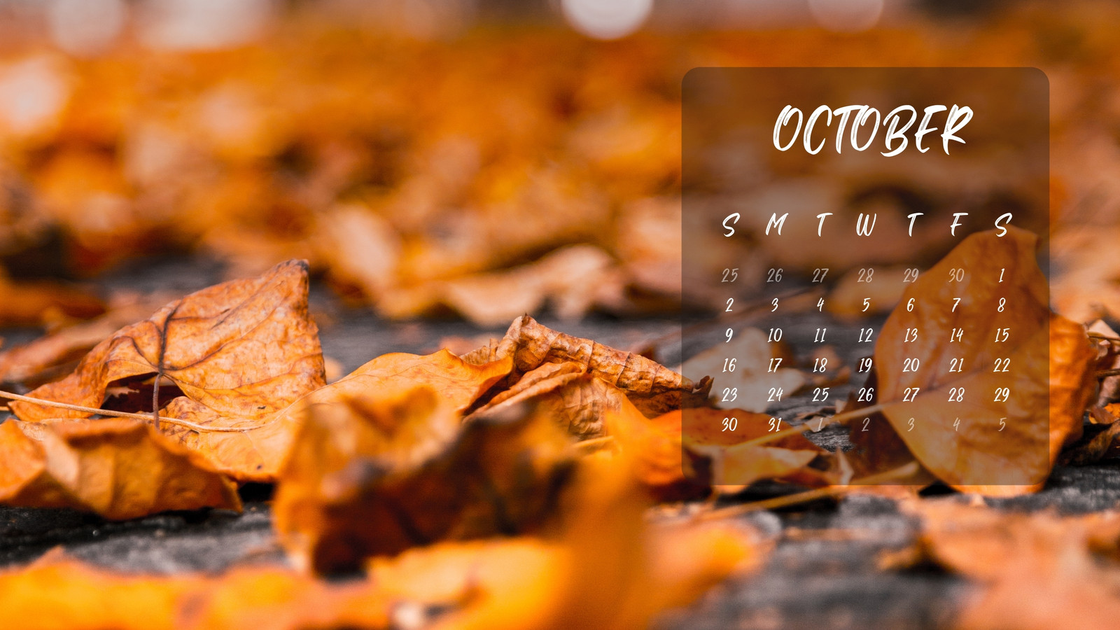 autumn photography wallpaper