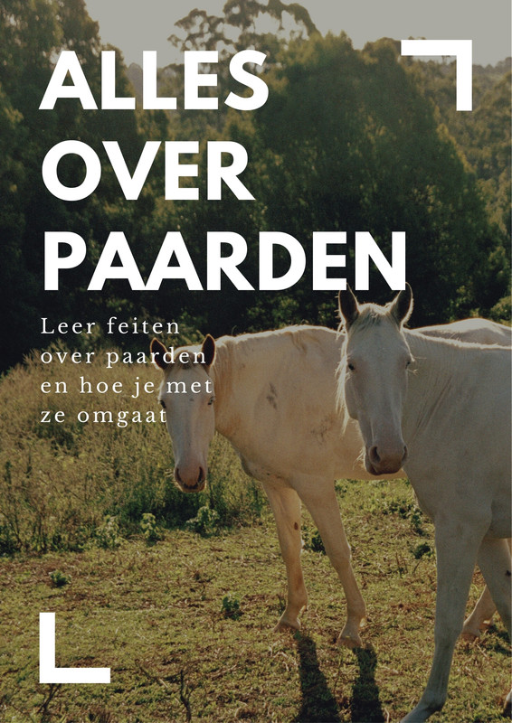 Gratis Printbare Paarden Posters Sjablonen Canva