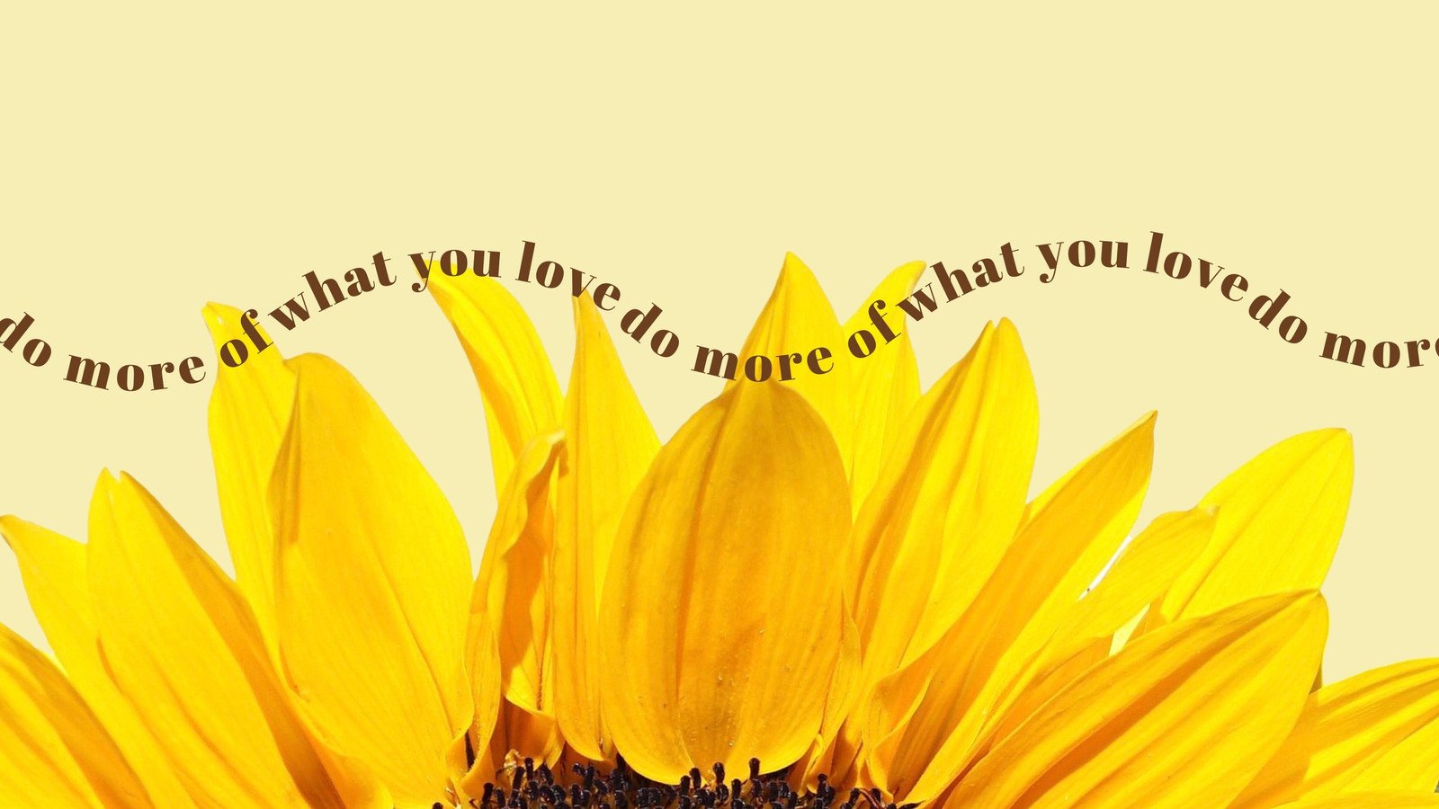 Pin by Jamie Lemley on Love 3 in 2023  Sunflower wallpaper Sunflower  iphone wallpaper Pretty wallpapers backgrounds