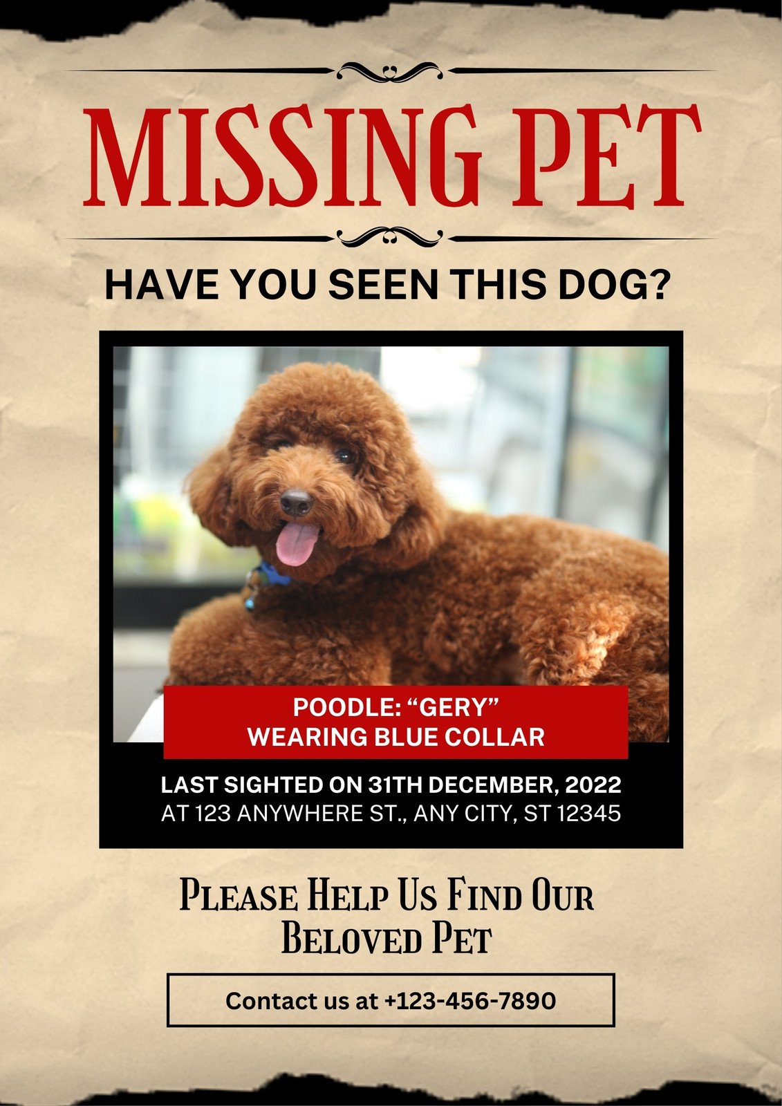 Free printable, customizable lost dog poster templates | Canva