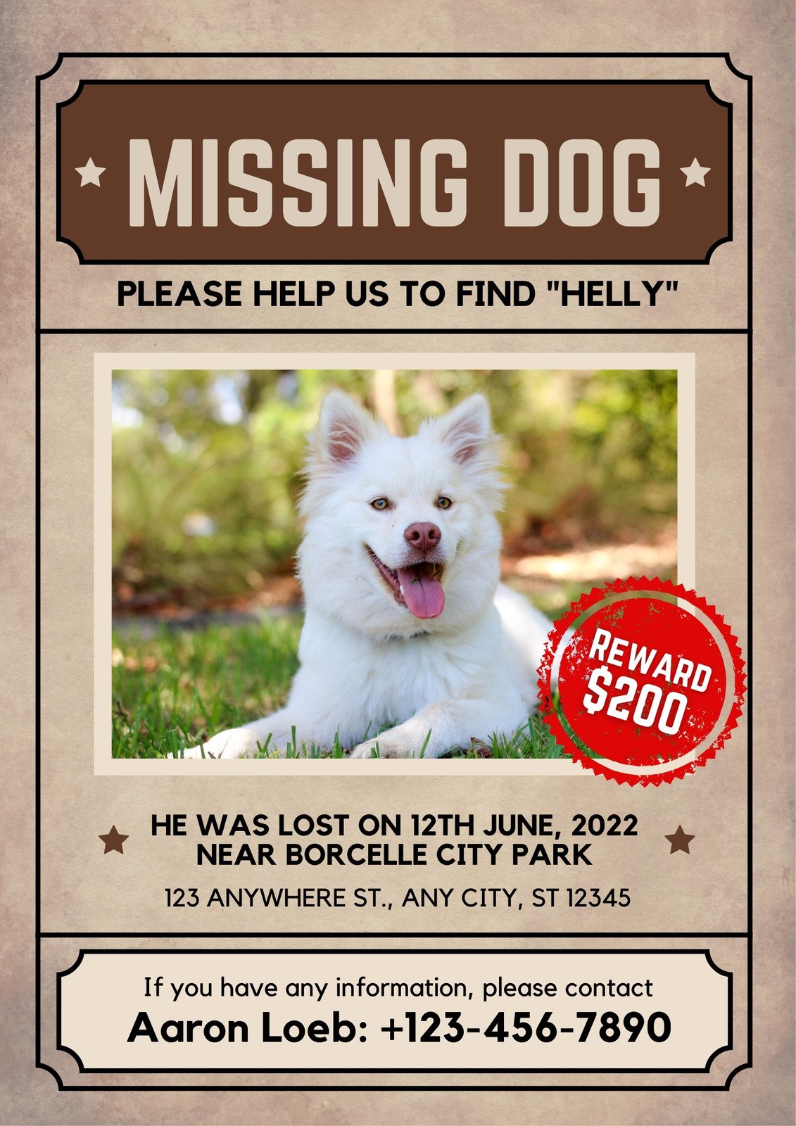 Free editable printable missing poster templates | Canva