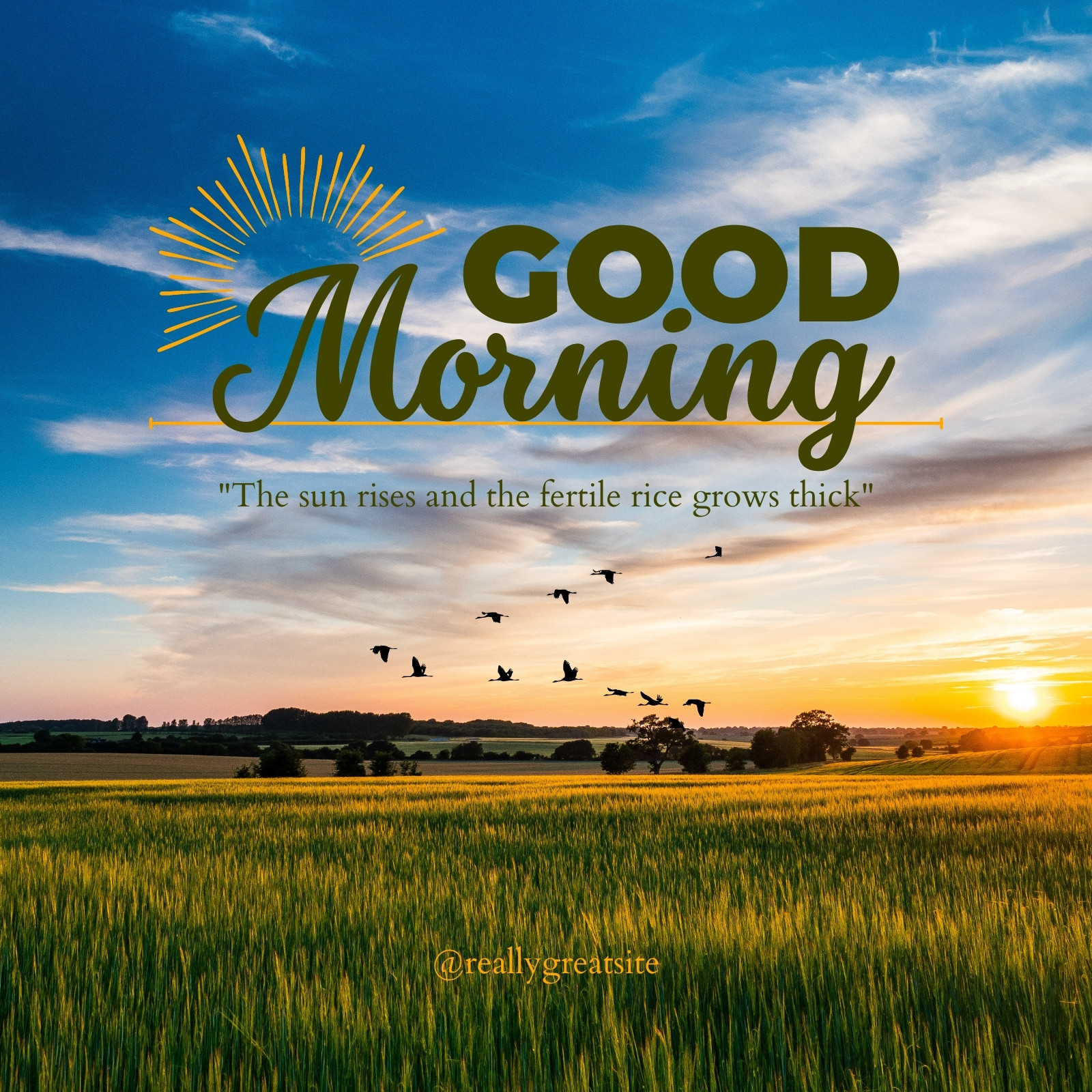 Page 7 - Free and customizable good morning wallpaper templates