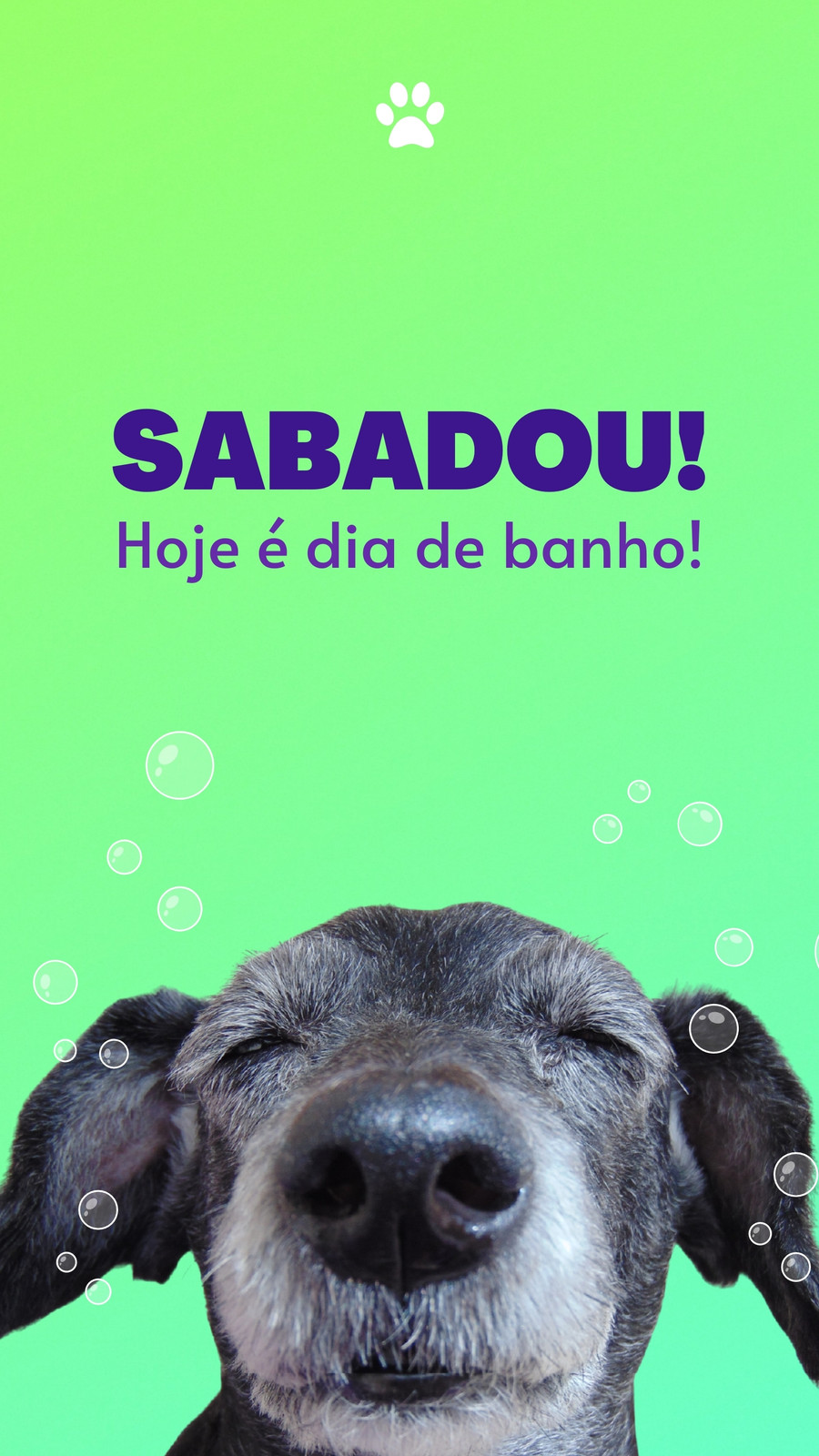 Banho e Tosa - Vital Pets - Clínica Veterinária & Petshop