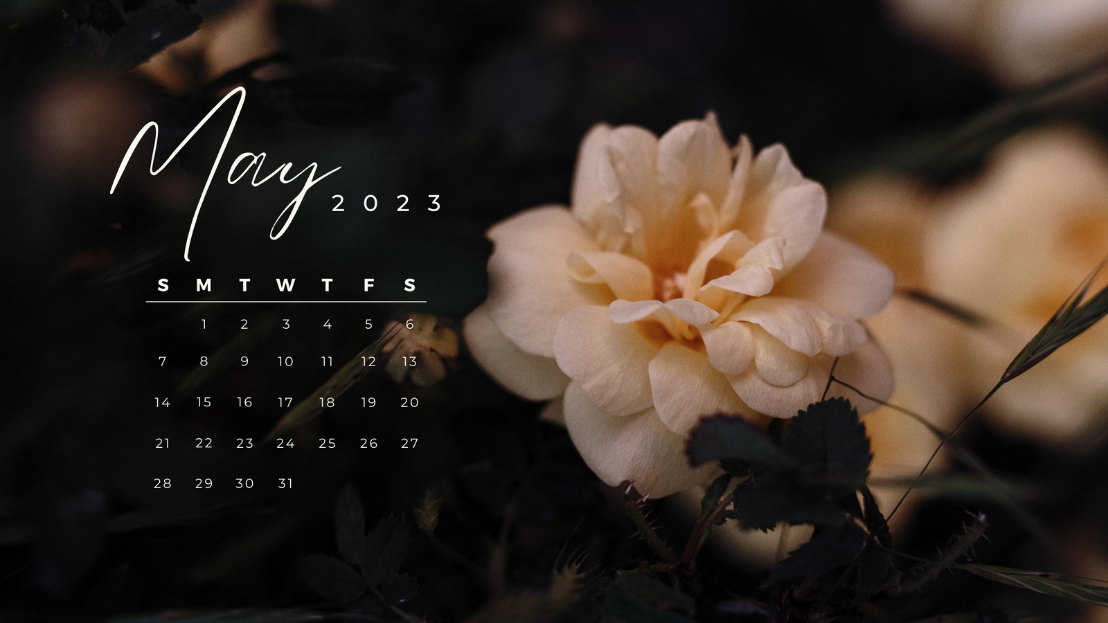 2023 Desktop Calendar Wallpaper Pastel Desktop Wallpaper 
