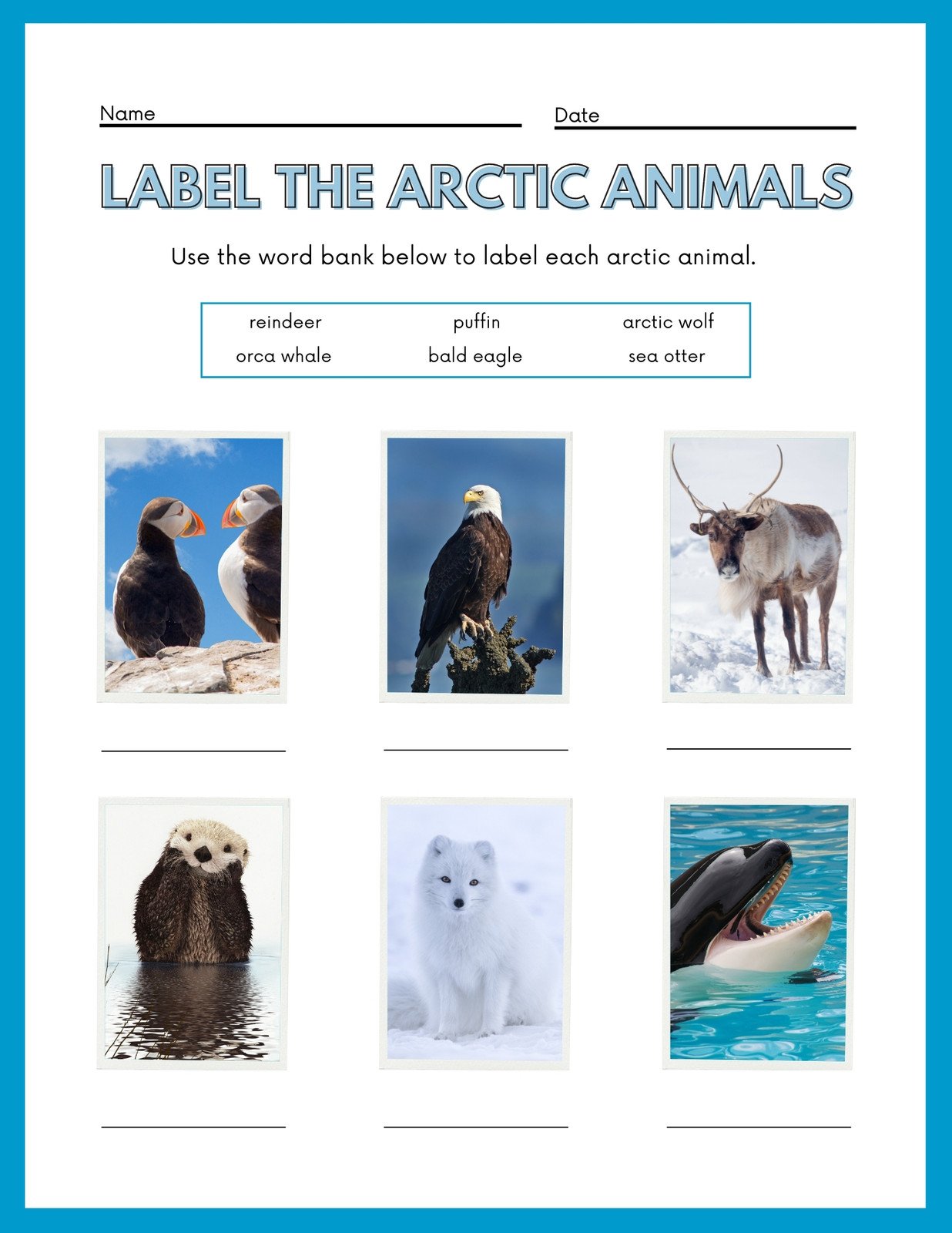 Page 12 - Free and customizable animal templates