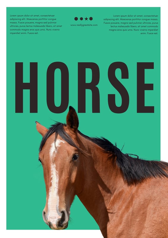 Free printable and customizable horse poster templates | Canva